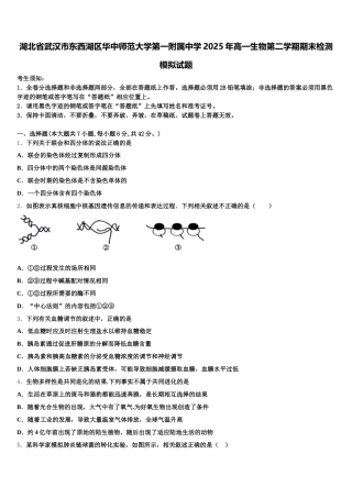 湖北省武汉市东西湖区华中师范大学第一附属中学2025年高一生物第二学期期末检测模拟试题含解析