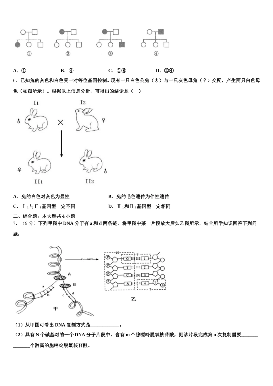 2025年湖北省孝感市普通高中联考协作体生物高一第二学期期末教学质量检测模拟试题含解析_第2页