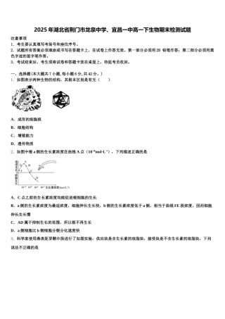 2025年湖北省荆门市龙泉中学、宜昌一中高一下生物期末检测试题含解析