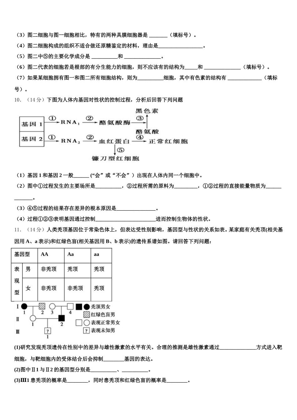 2025届湖北省麻城一中高一生物第二学期期末质量跟踪监视模拟试题含解析_第3页