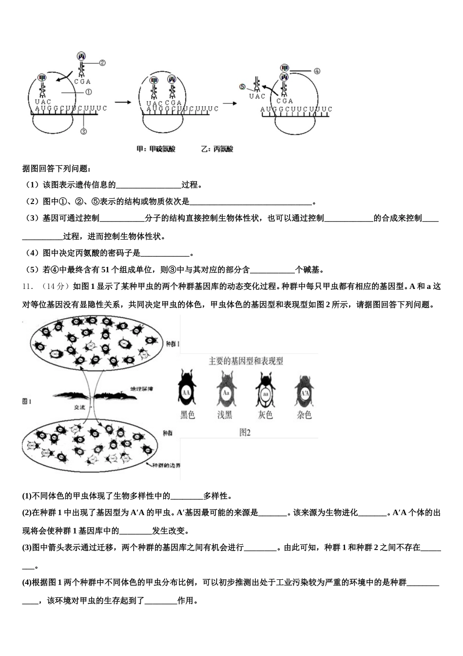 2025年湖北省湖北大学附属中学生物高一下期末检测模拟试题含解析_第3页