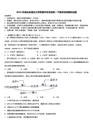 2025年湖北省湖北大学附属中学生物高一下期末检测模拟试题含解析