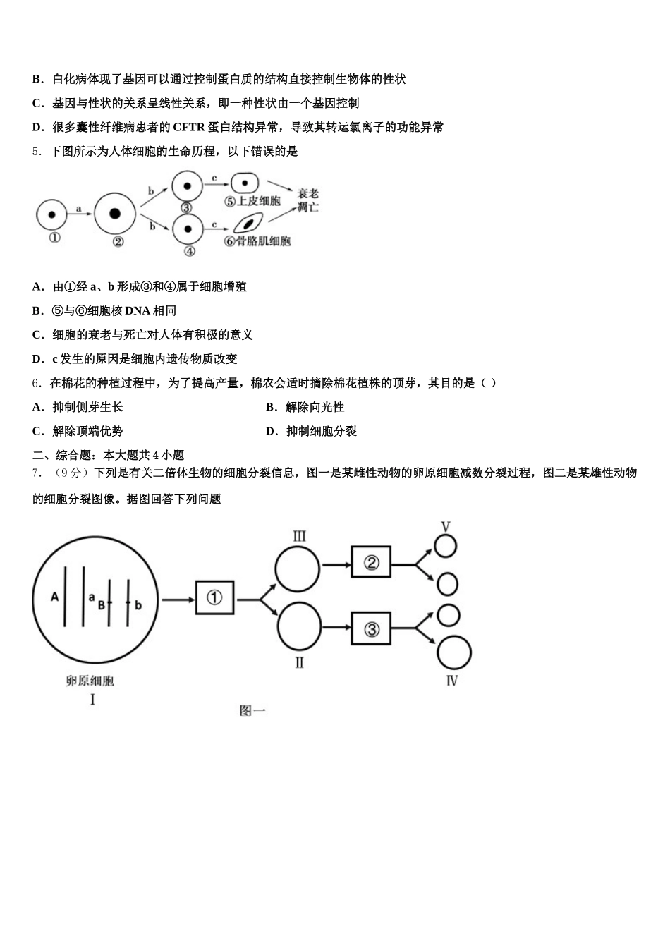 湖北省随州市2025年高一生物第二学期期末质量检测模拟试题含解析_第2页