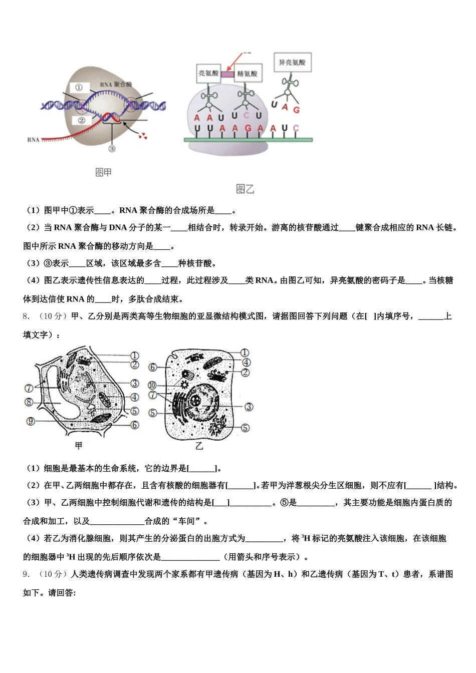 2025年湖北省孝感中学生物高一下期末学业质量监测试题含解析_第2页