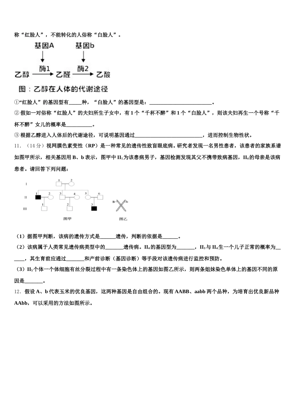 2024-2025学年湖北省第五届生物高一下期末调研模拟试题含解析_第3页