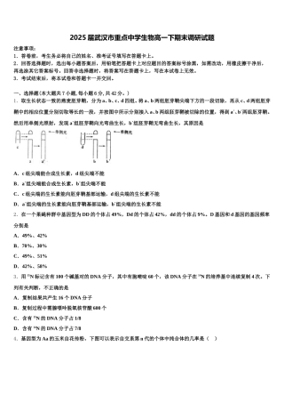 2025届武汉市重点中学生物高一下期末调研试题含解析