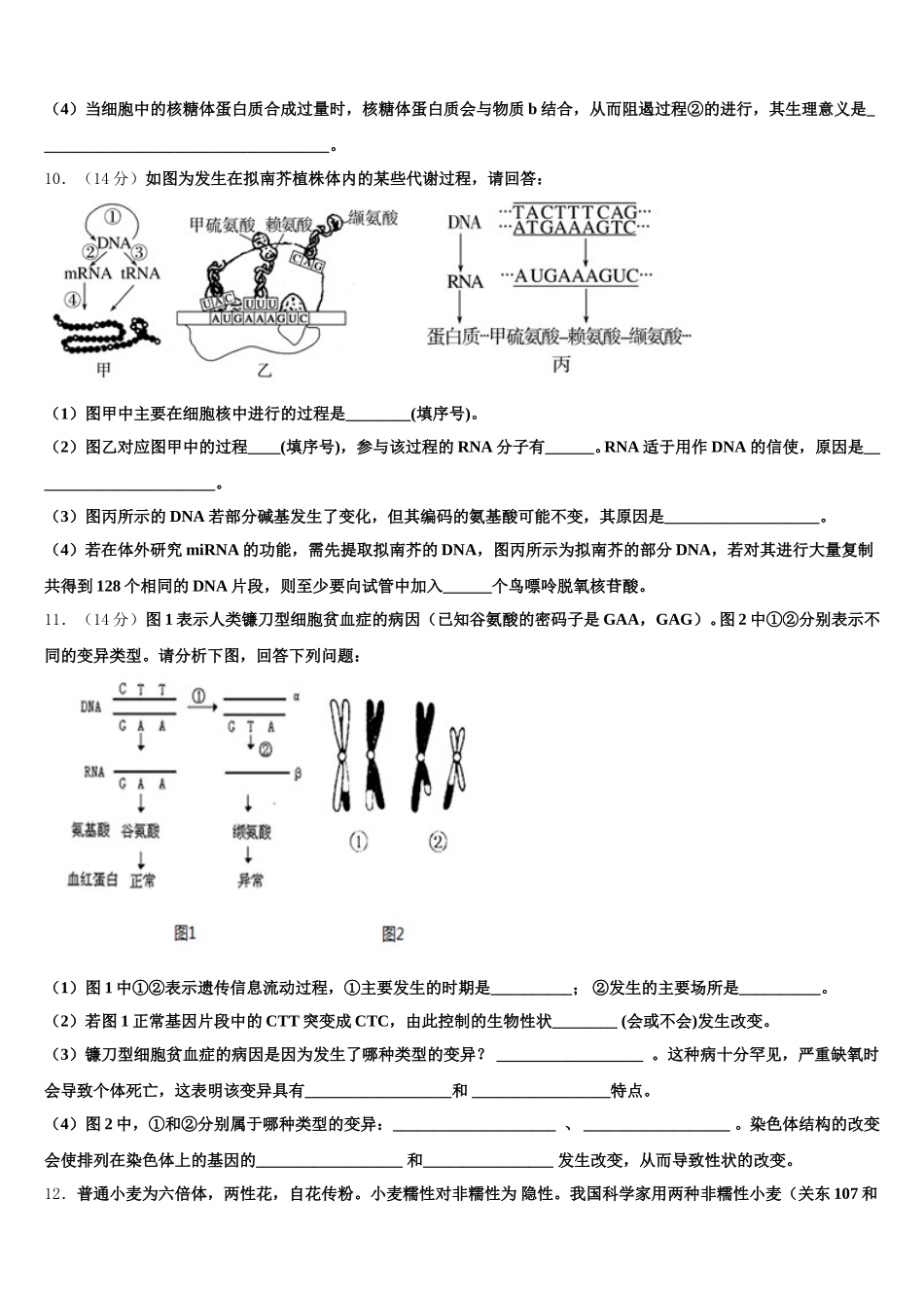 2025届襄樊市重点中学生物高一下期末复习检测模拟试题含解析_第3页