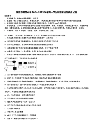 襄阳市第四中学2024-2025学年高一下生物期末检测模拟试题含解析
