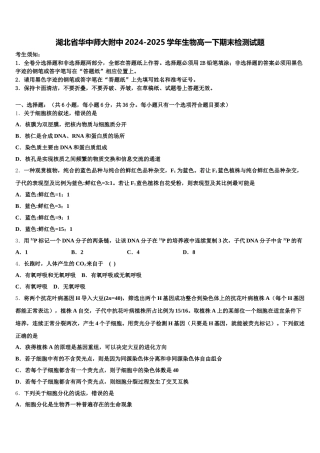 湖北省华中师大附中2024-2025学年生物高一下期末检测试题含解析