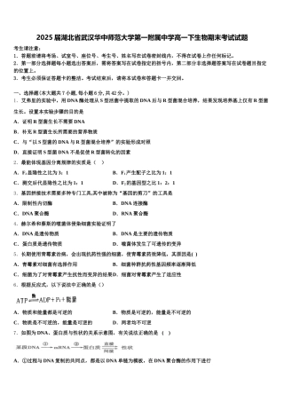 2025届湖北省武汉华中师范大学第一附属中学高一下生物期末考试试题含解析