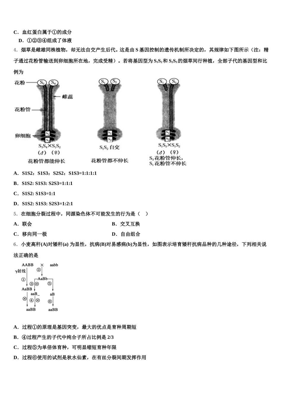 2025年湖北省荆州市沙市中学生物高一下期末监测试题含解析_第2页