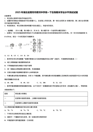 2025年湖北省黄冈市蔡河中学高一下生物期末学业水平测试试题含解析
