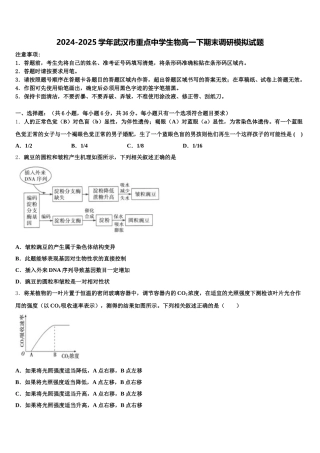 2024-2025学年武汉市重点中学生物高一下期末调研模拟试题含解析