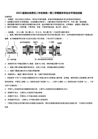 2025届湖北省黄石二中生物高一第二学期期末学业水平测试试题含解析