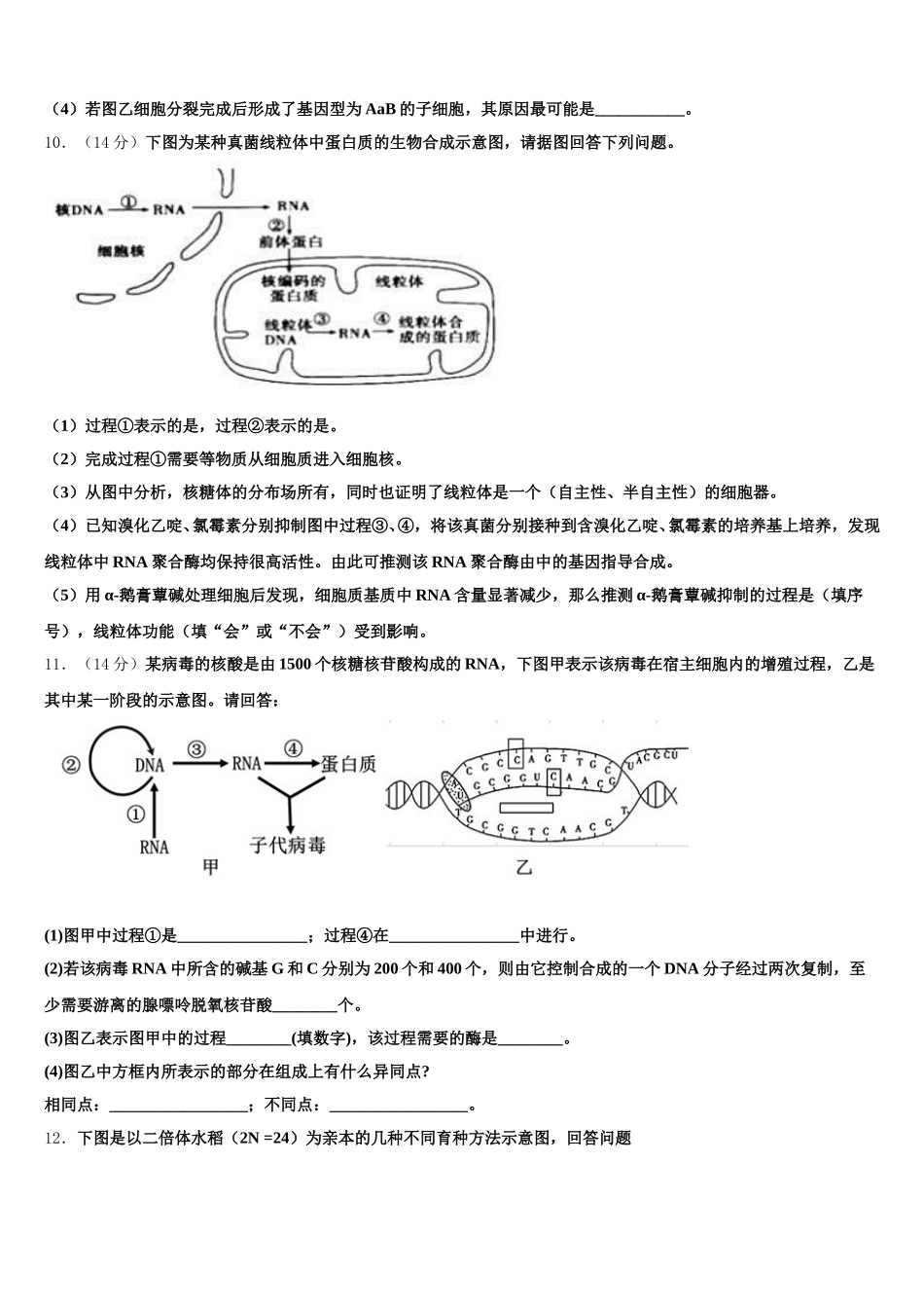 湖北省水果湖第二中学2024-2025学年高一下生物期末质量检测模拟试题含解析_第3页
