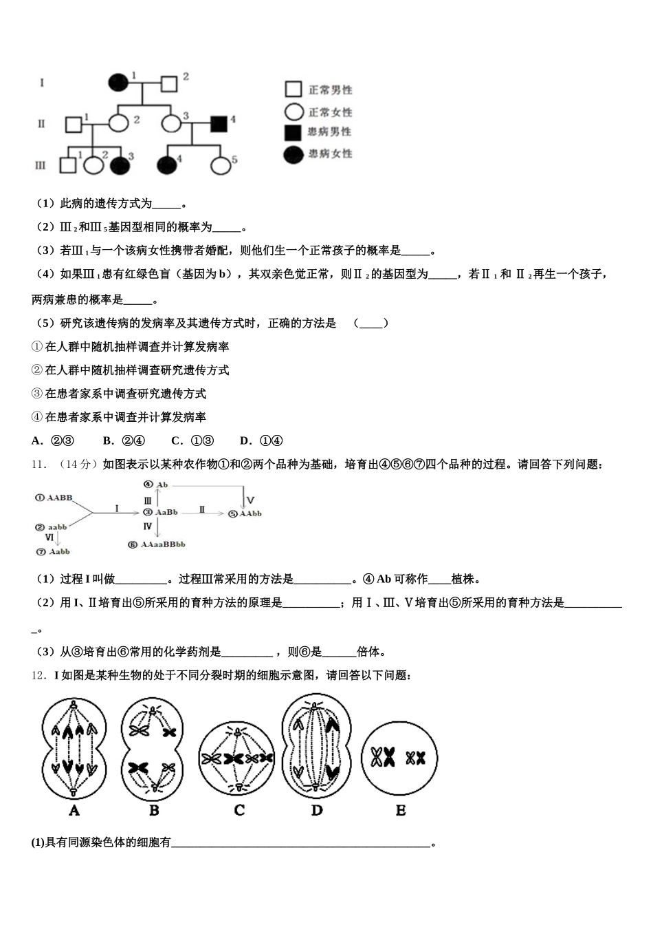 黄冈市启黄中学2025年高一下生物期末监测模拟试题含解析_第3页