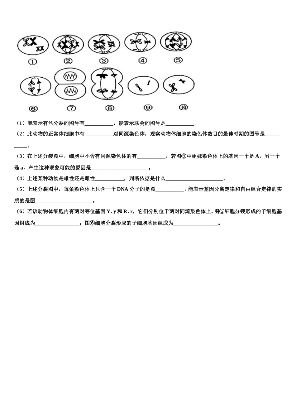 湖北省孝感高中2025年高一生物第二学期期末监测试题含解析_第3页
