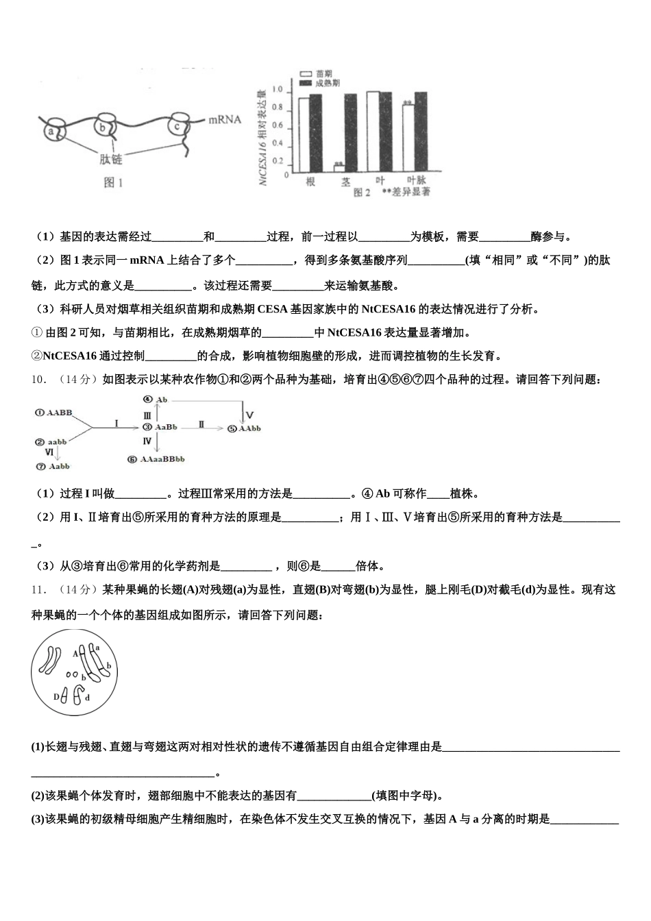 湖北省武汉市外国语学校2025届生物高一第二学期期末学业质量监测模拟试题含解析_第3页