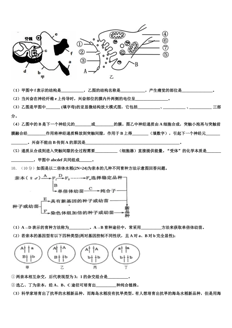 湖北省沙市中学、恩施高中、郧阳中学2025年生物高一第二学期期末联考试题含解析_第3页