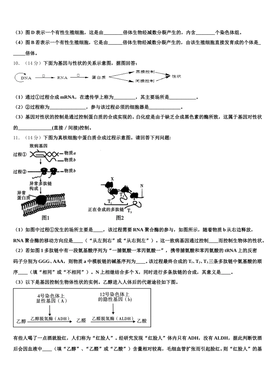 湖北省昆明市黄冈实验学校2025届高一生物第二学期期末调研模拟试题含解析_第3页