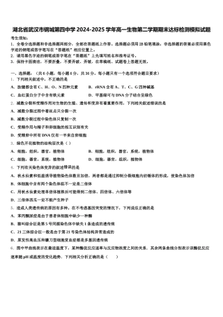 湖北省武汉市钢城第四中学2024-2025学年高一生物第二学期期末达标检测模拟试题含解析