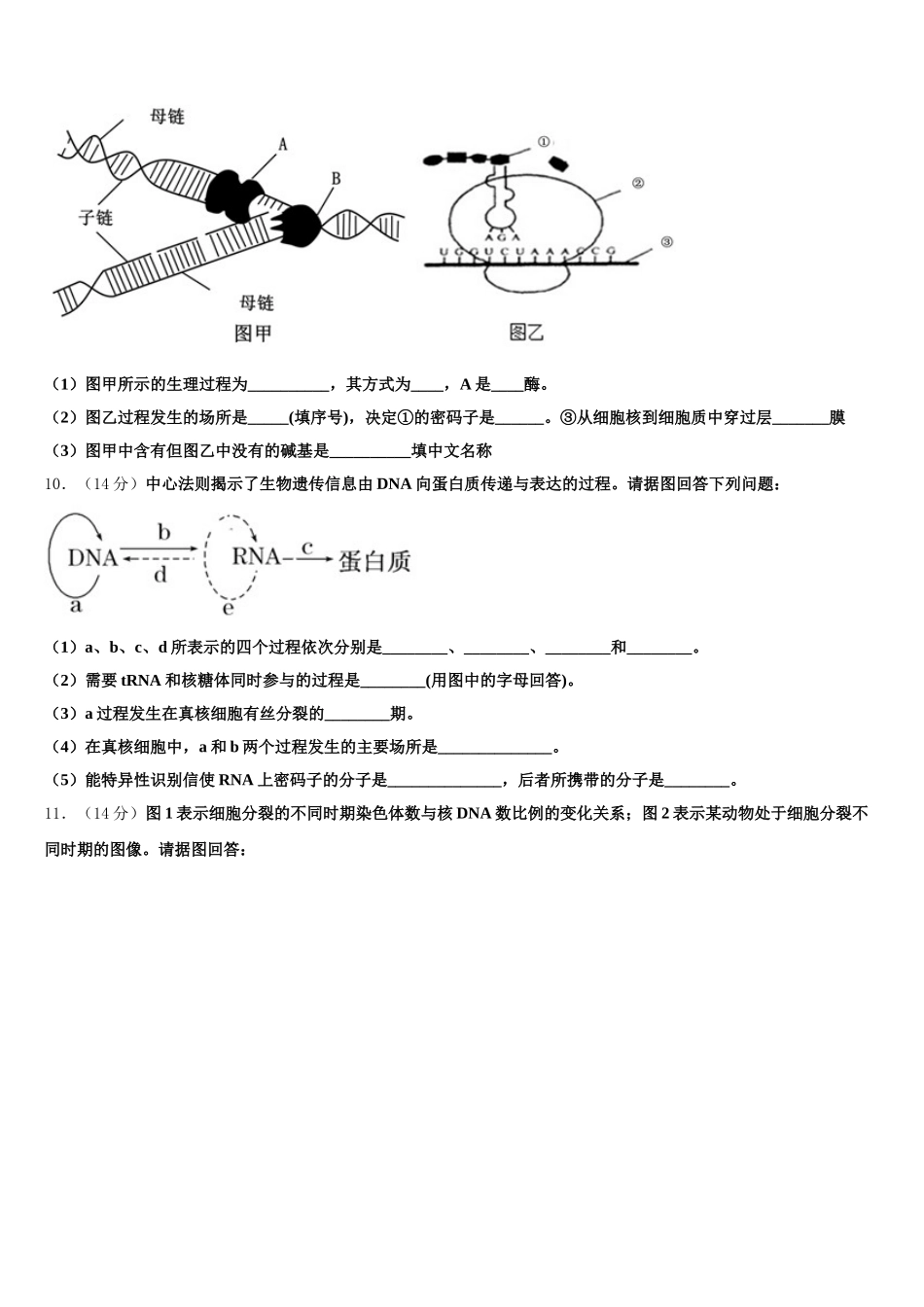 2025年湖北省天门市、仙桃市、潜江市高一下生物期末达标测试试题含解析_第3页