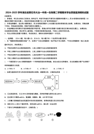 2024-2025学年湖北省黄石市大冶一中高一生物第二学期期末学业质量监测模拟试题含解析
