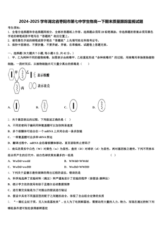 2024-2025学年湖北省枣阳市第七中学生物高一下期末质量跟踪监视试题含解析