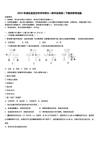 2025年湖北省武汉市华中师大一附中生物高一下期末联考试题含解析