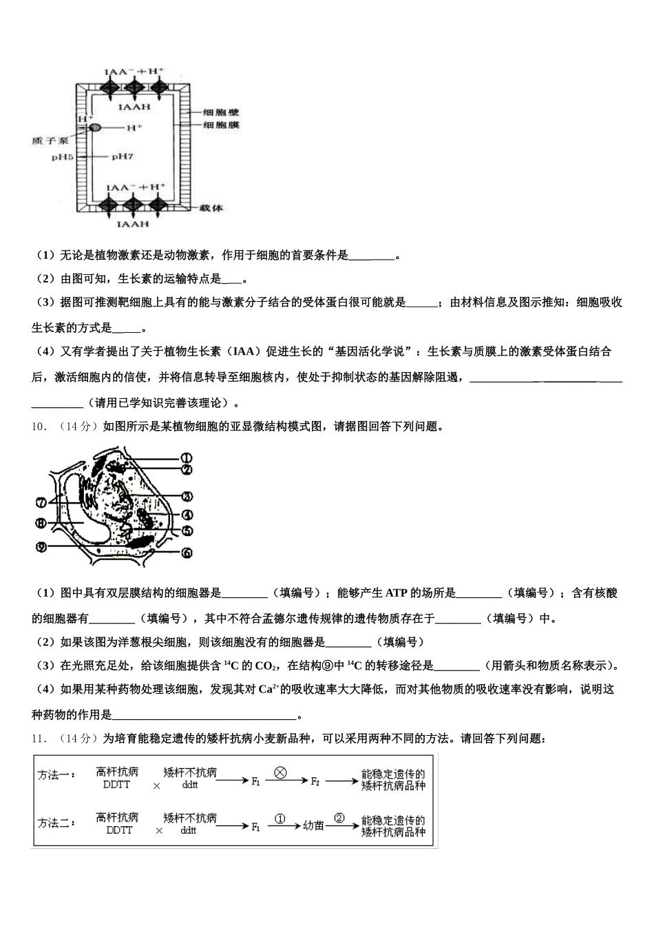 2024-2025学年湖北省第五届高一下生物期末调研模拟试题含解析_第3页
