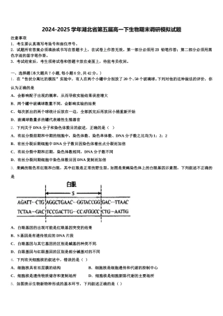 2024-2025学年湖北省第五届高一下生物期末调研模拟试题含解析