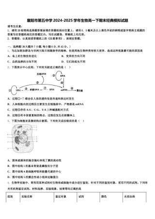 襄阳市第五中学2024-2025学年生物高一下期末经典模拟试题含解析