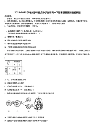 2024-2025学年咸宁市重点中学生物高一下期末质量跟踪监视试题含解析