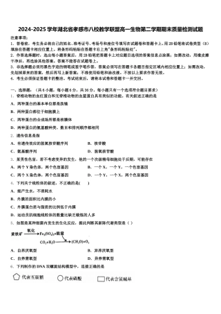 2024-2025学年湖北省孝感市八校教学联盟高一生物第二学期期末质量检测试题含解析