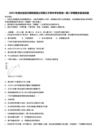 2025年湖北省武汉钢铁集团公司第三子弟中学生物高一第二学期期末监测试题含解析