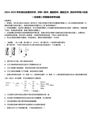 2024-2025学年湖北省黄冈中学、华师一附中、襄阳四中、襄阳五中、荆州中学等八校高一生物第二学期期末联考试题含解析