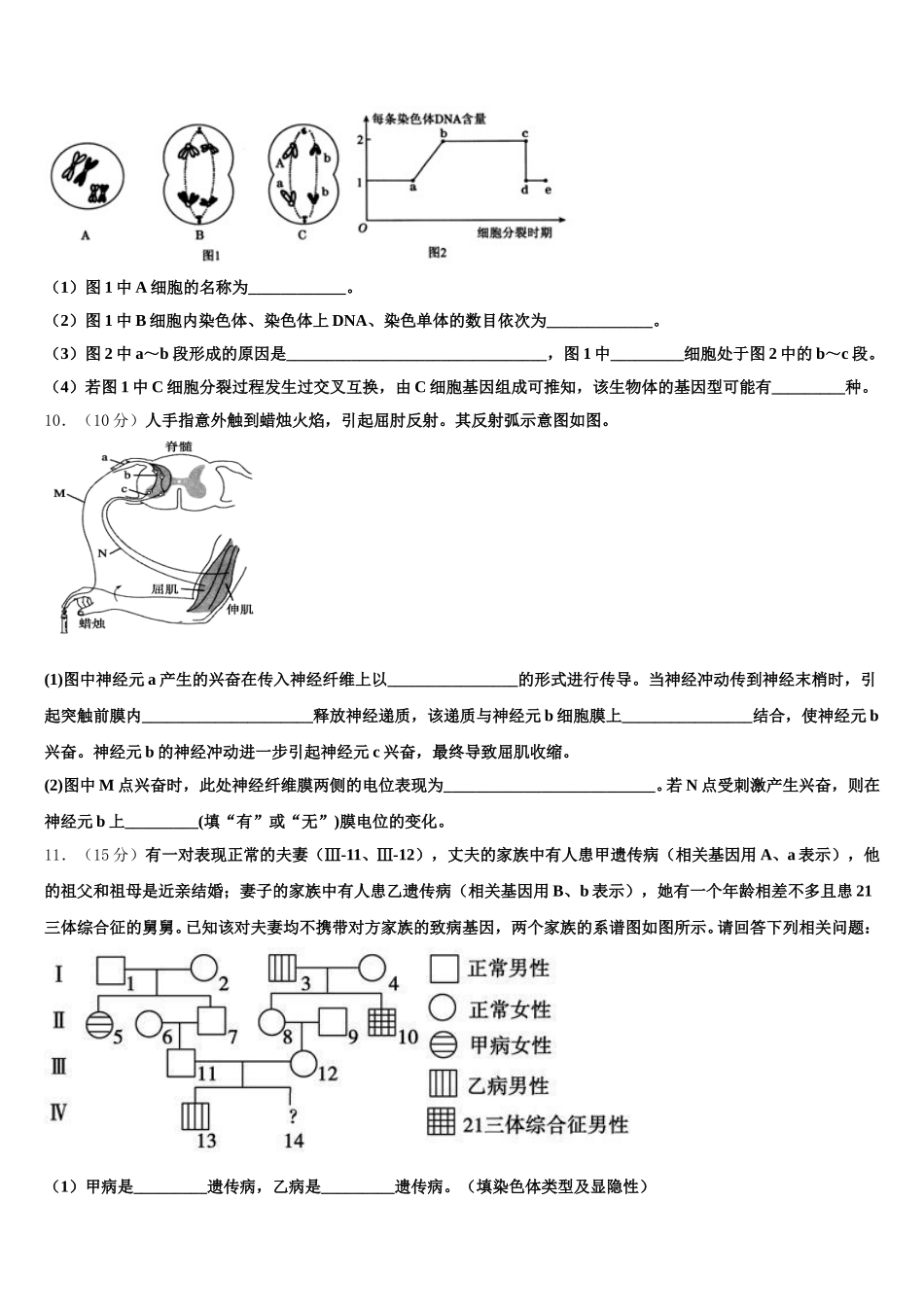 湖北省沙洋县后港中学2025年高一生物第二学期期末统考模拟试题含解析_第3页