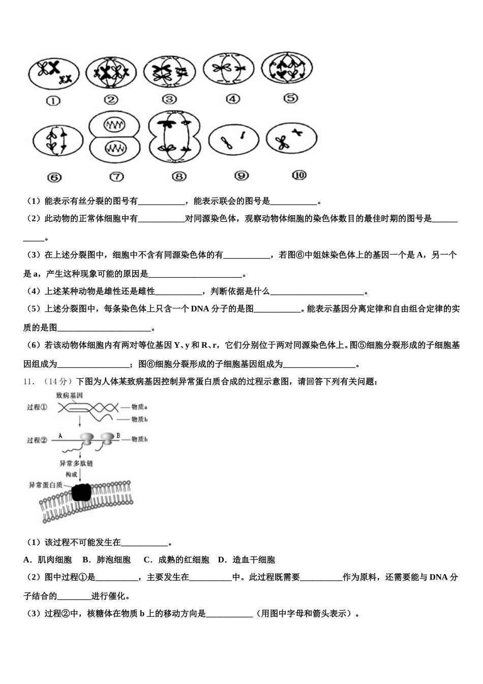 2025年湖北省宜昌一中高一下生物期末复习检测模拟试题含解析_第3页