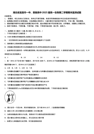 湖北省宜昌市一中、恩施高中2025届高一生物第二学期期末监测试题含解析