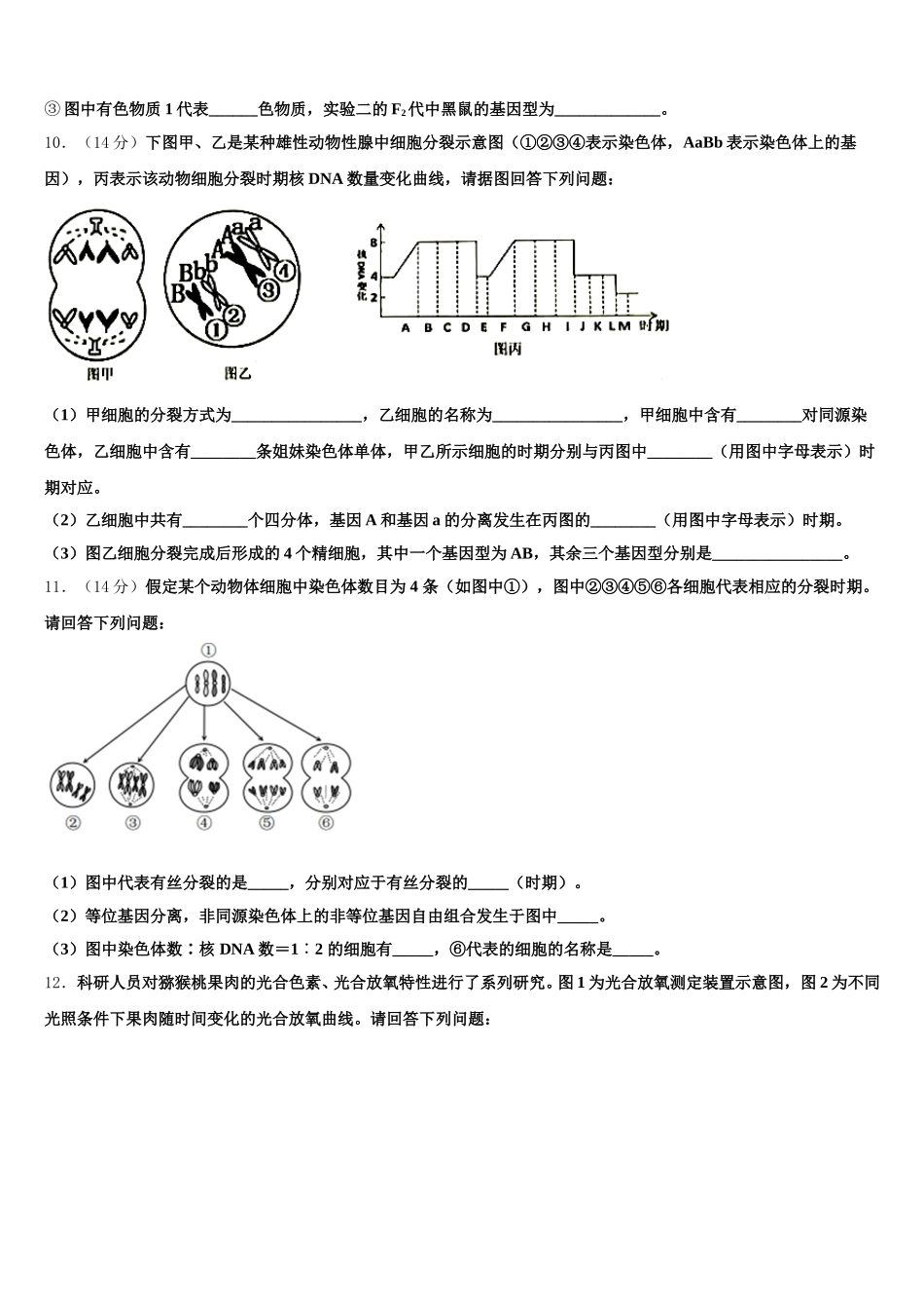 2025届湖北省黄梅国际育才高级中学生物高一下期末学业水平测试模拟试题含解析_第3页