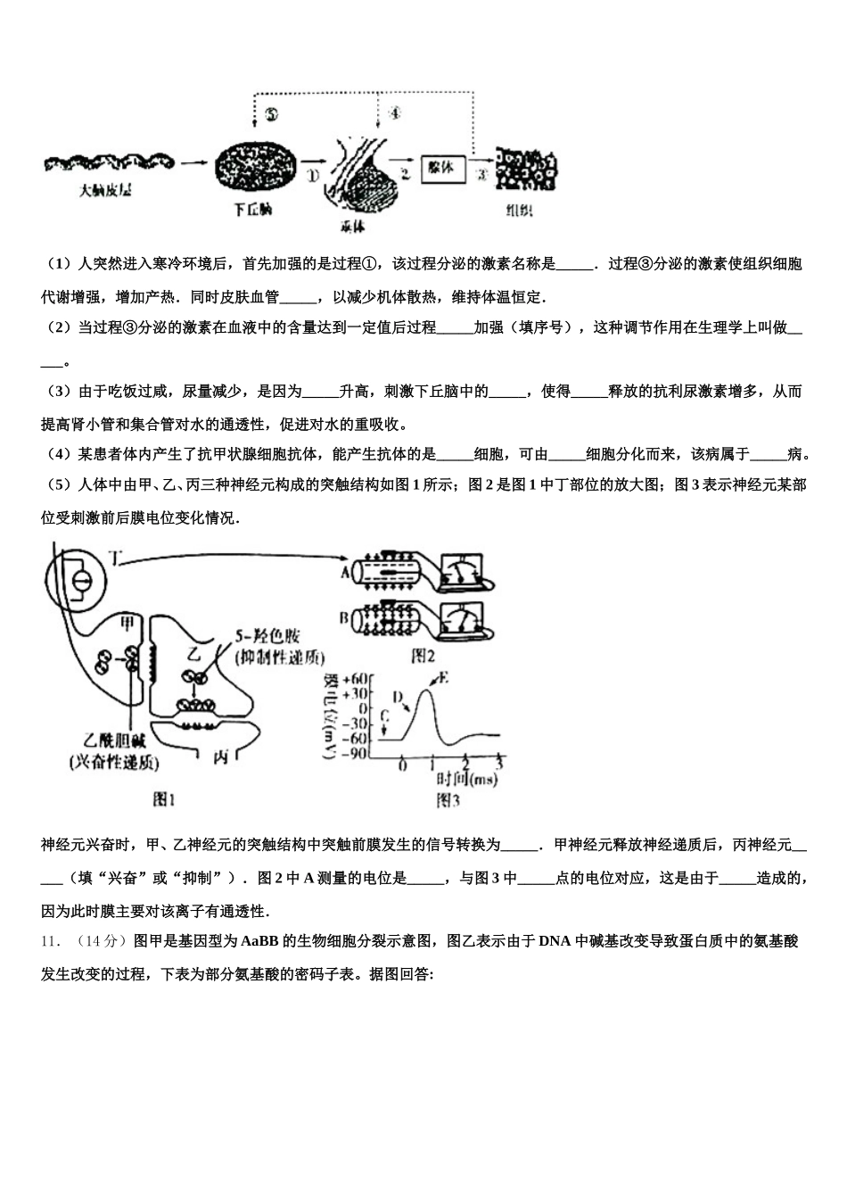 湖北省黄石市慧德学校2025年高一下生物期末统考试题含解析_第3页