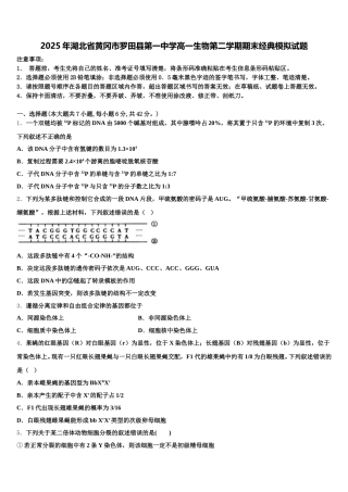 2025年湖北省黄冈市罗田县第一中学高一生物第二学期期末经典模拟试题含解析