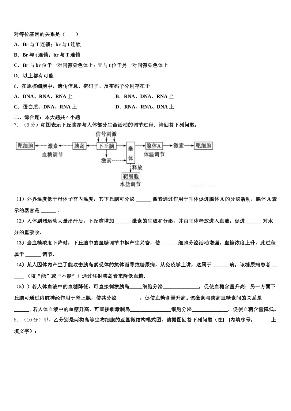 2025届湖北省孝感一中生物高一下期末考试模拟试题含解析_第2页