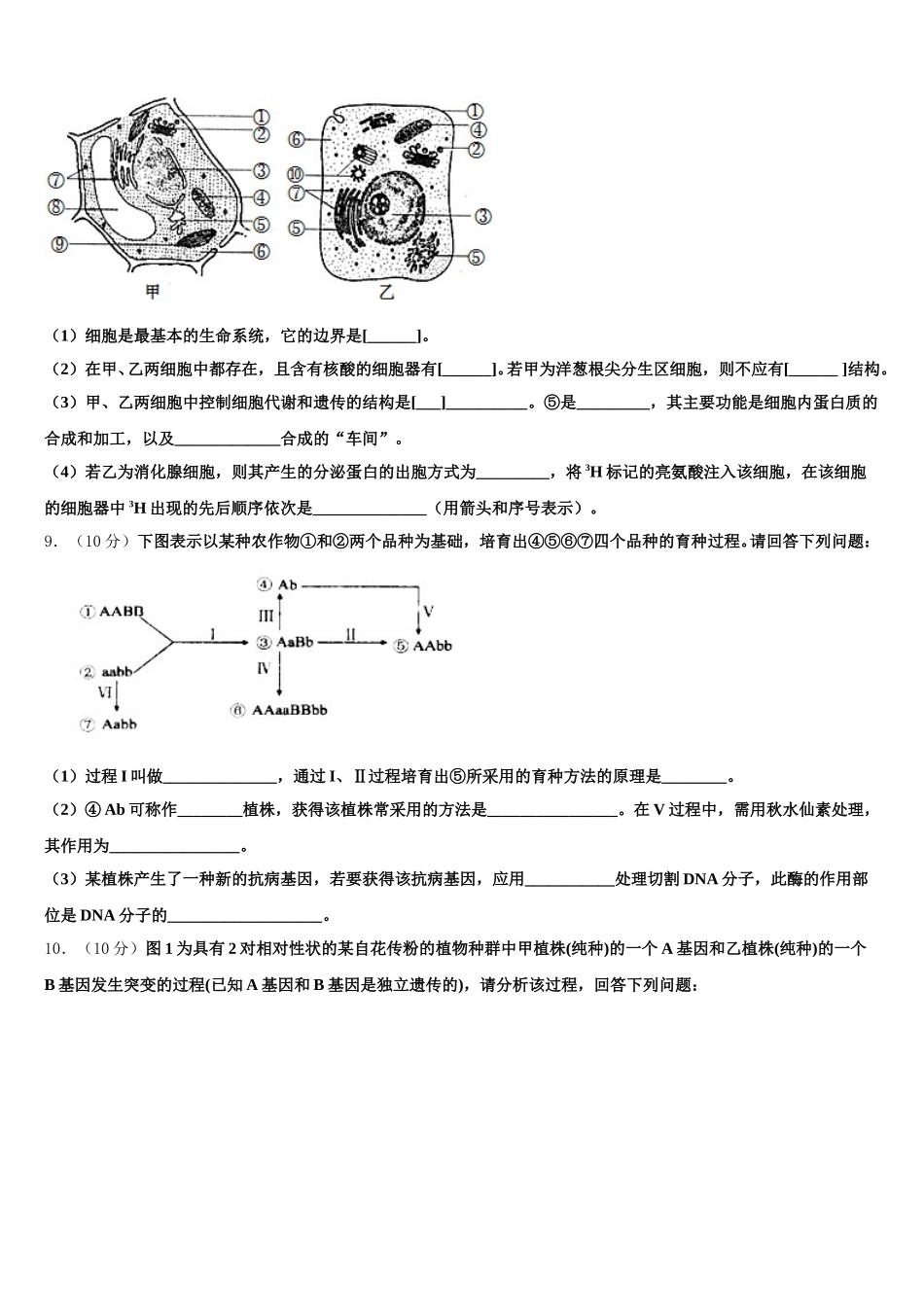 2025届湖北省孝感一中生物高一下期末考试模拟试题含解析_第3页