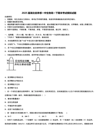 2025届湖北省孝感一中生物高一下期末考试模拟试题含解析