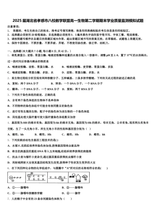 2025届湖北省孝感市八校教学联盟高一生物第二学期期末学业质量监测模拟试题含解析
