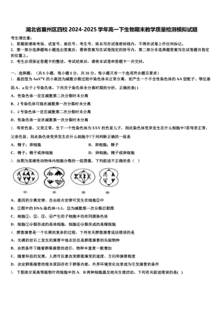 湖北省襄州区四校2024-2025学年高一下生物期末教学质量检测模拟试题含解析