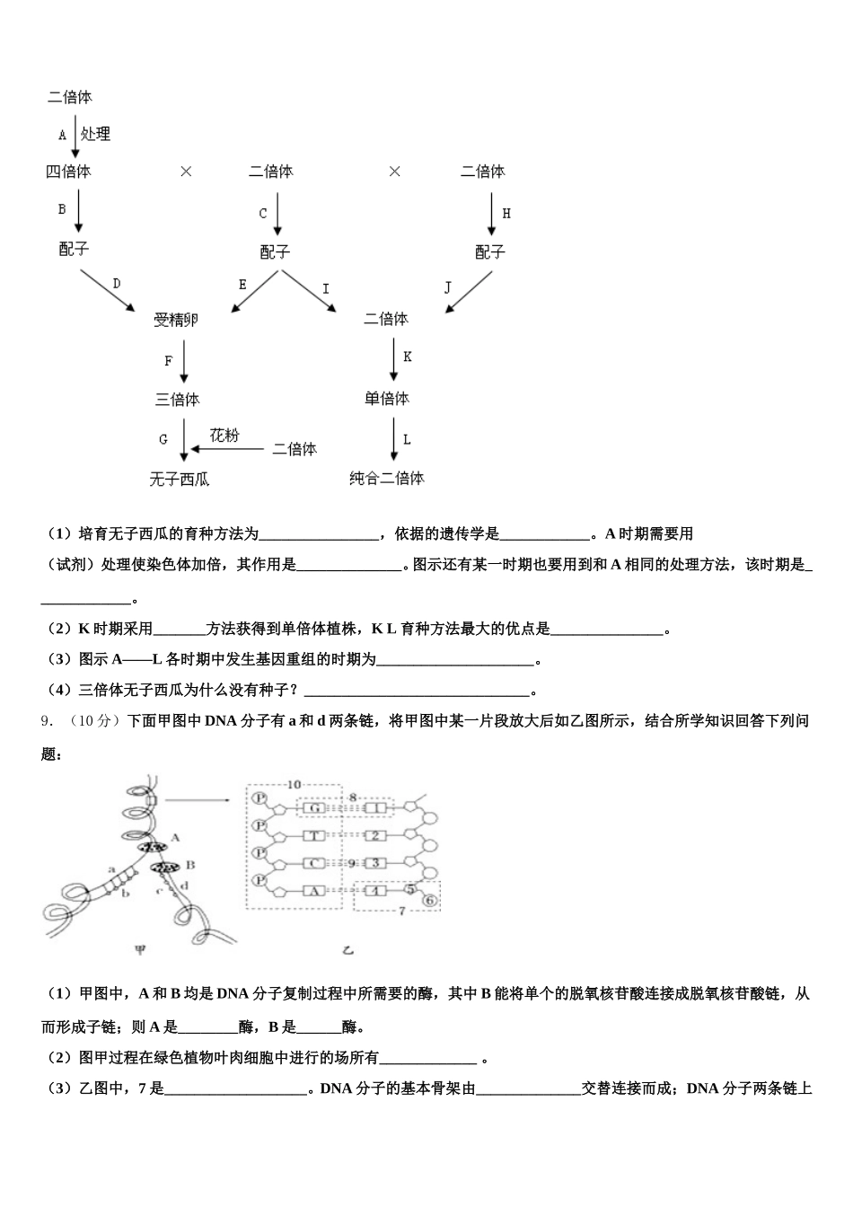 2025届湖北省咸宁市高一生物第二学期期末质量跟踪监视试题含解析_第3页