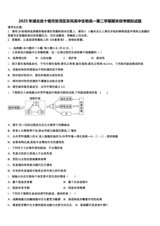 2025年湖北省十堰市张湾区东风高中生物高一第二学期期末统考模拟试题含解析