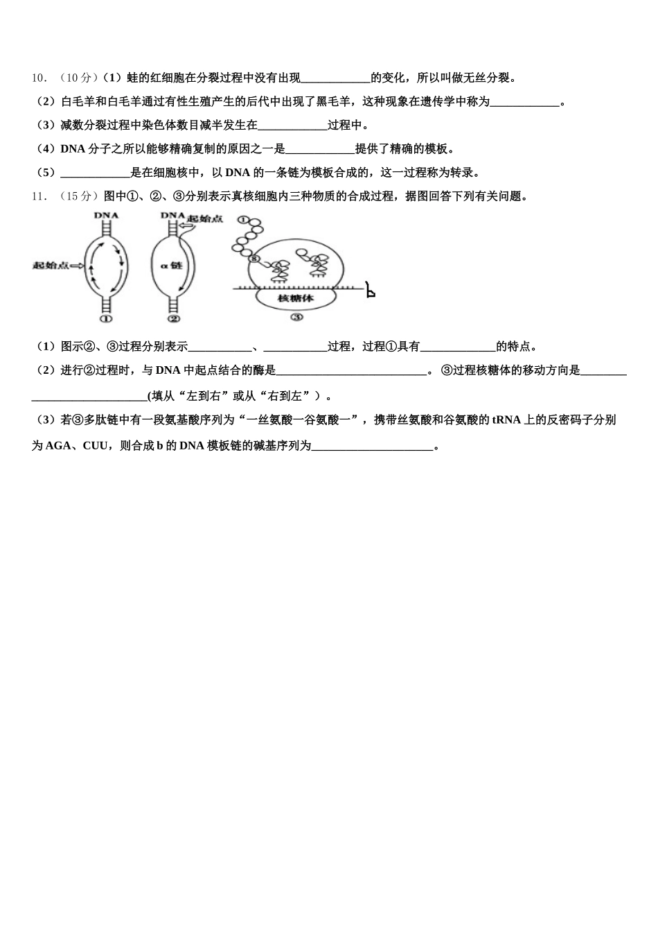 2025届湖北省荆州开发区滩桥中学高一生物第二学期期末学业水平测试模拟试题含解析_第3页